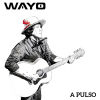 Libro de Wayo, Wayo