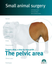 Small animal surgery